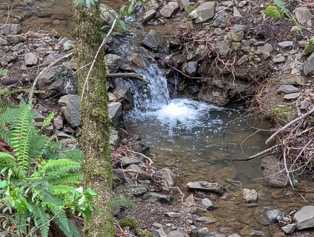 The Archeology of&nbsp;Memory