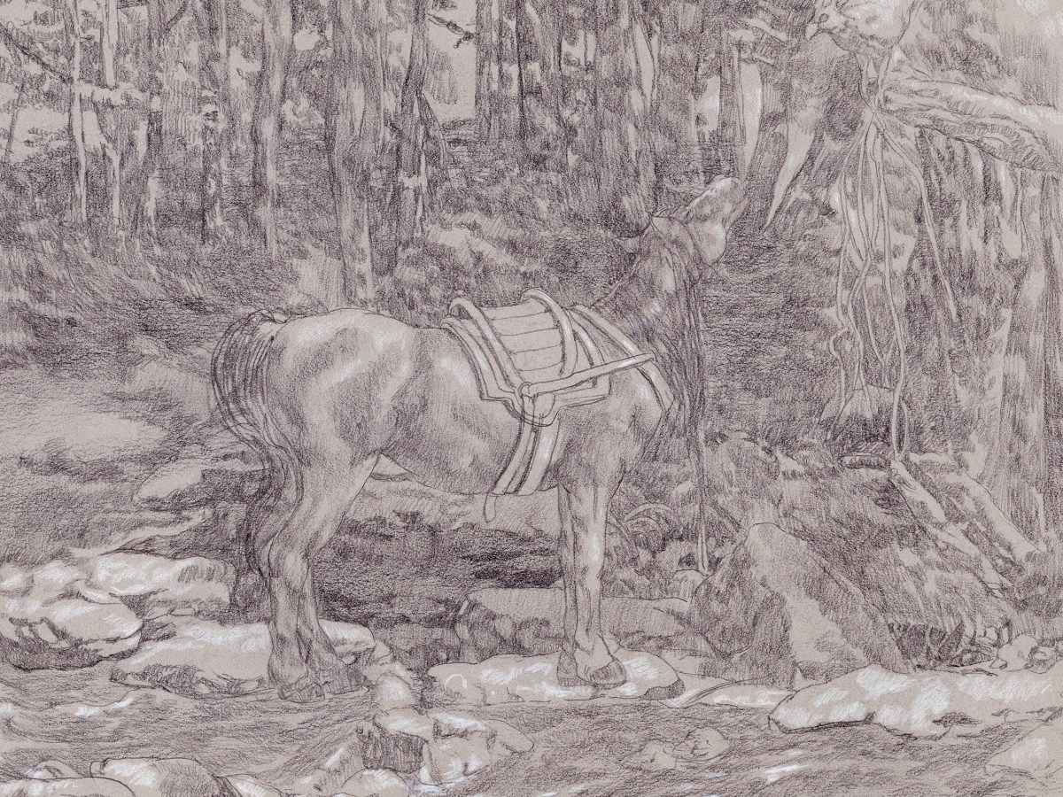 An Introvert Tries to do&nbsp;Marketing